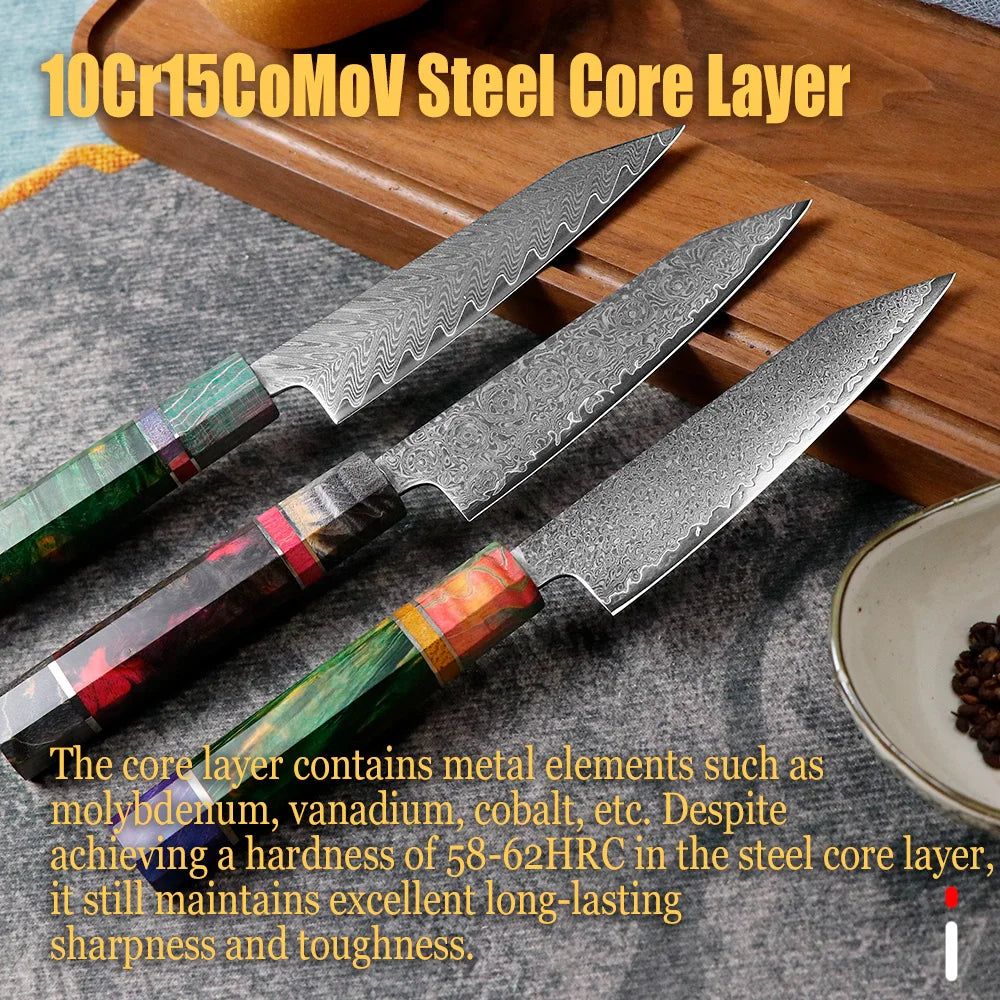 JUMCSONG 5-inch Utility Knife 67 layer Damascus Steel Fruit Knife VG10 Core Peeling Knife stable wooden handle kitchen knife